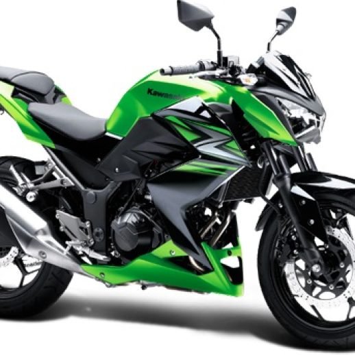 ナガページ Ninja Z250 Launched in India: Price, Pics, Features, Engine