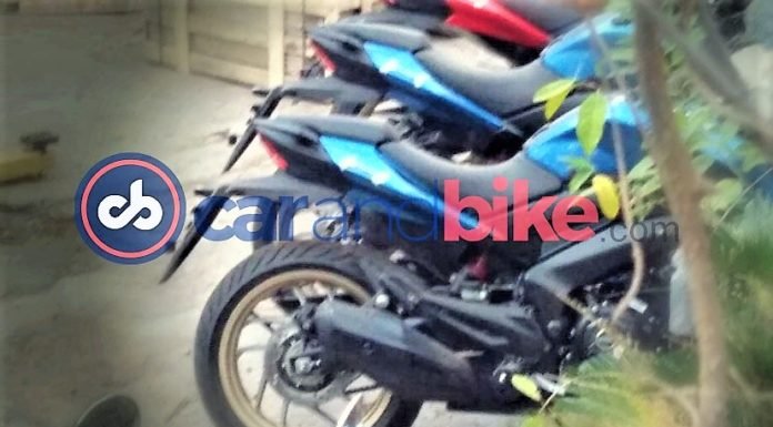 2018 Dominar Blue Pic