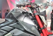 Naked R15 Launch: Why NOT Earlier & Why NOW..? M-Slaz Launch