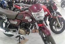 TVS Radeon Starts Reaching Dealerships: Can it Outsell Victor?