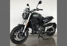 Biggest Leoncino 800 Spotted First Time