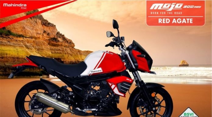 2020-Mojo-Pics-Red-Agate-color