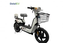 Detel Easy SOLD OUT Within 48 Hours: Costs Only ₹19,999