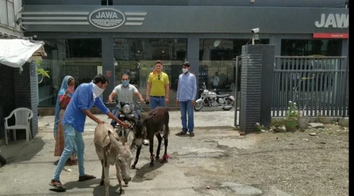 Jawa-unhappy-customer-donkey-ride
