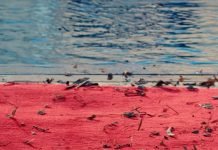 Honda H’NESS Video Teaser Revealed