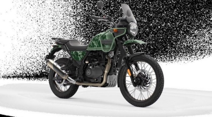 2021-Himalayan-Pics-Pine-Green