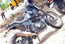 Himalayan Spotted Testing Again; What Now..?