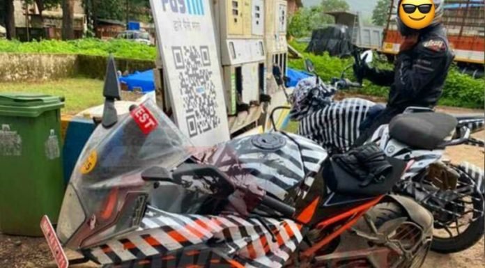 New-Pulsar-250-RC-pic-spied