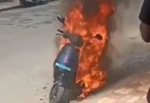 Government Directs EV Manufacturers To Defer New Product Launches