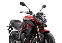 How About this 390 Duke Rival…?