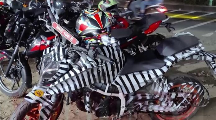 2023-390-Duke-Pic-Spied