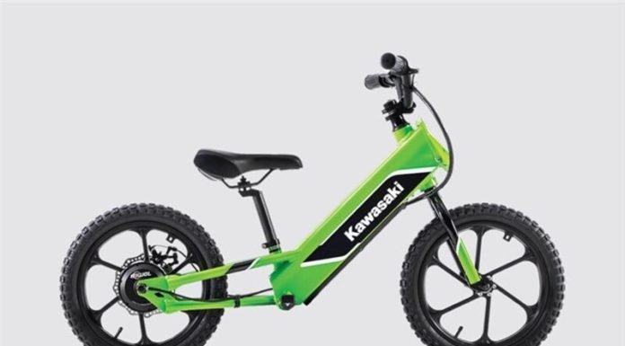 Kawasaki-Electric-Bike-First-Elektrode-International