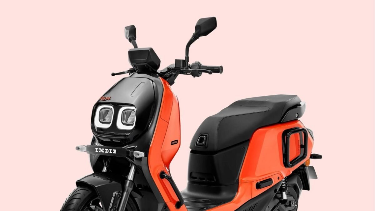 River indie Electric Scooter (1)